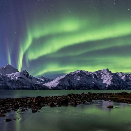 OlderdalenLyngenfjord,Odins Husアパートメント エクステリア 写真