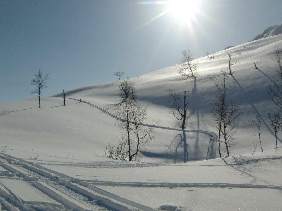 OlderdalenLyngenfjord,Odins Husアパートメント エクステリア 写真